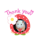 キンクマハムスターくぅたん（個別スタンプ：13）