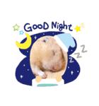 キンクマハムスターくぅたん（個別スタンプ：16）
