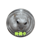 ハムスターんぷ4（個別スタンプ：2）