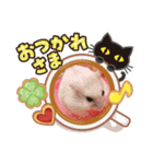 ハムスターんぷ4（個別スタンプ：5）