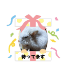 ハムスターんぷ4（個別スタンプ：10）