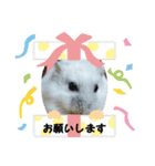 ハムスターんぷ4（個別スタンプ：11）