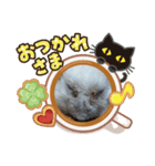 ハムスターんぷ4（個別スタンプ：14）