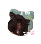 くろんぼの日常（個別スタンプ：1）