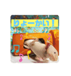 フレンチブルドッグ ＆ボクサー（個別スタンプ：11）