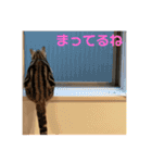 するめといっしょ2（個別スタンプ：9）