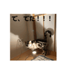 するめといっしょ2（個別スタンプ：15）