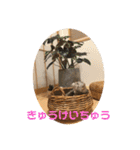 するめといっしょ2（個別スタンプ：16）