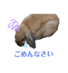 看板うさぎ君（個別スタンプ：10）