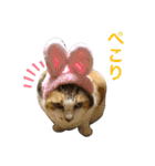 おかあちゃん専用スタンプ（個別スタンプ：6）