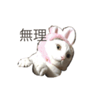 おかあちゃん専用スタンプ（個別スタンプ：10）