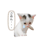 おかあちゃん専用スタンプ（個別スタンプ：13）