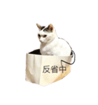 おかあちゃん専用スタンプ（個別スタンプ：14）