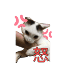 おかあちゃん専用スタンプ（個別スタンプ：15）