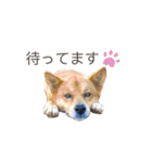 おかあちゃん専用スタンプ（個別スタンプ：30）