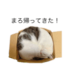 おかあちゃん専用スタンプ（個別スタンプ：32）