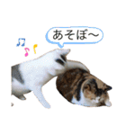 おかあちゃん専用スタンプ（個別スタンプ：36）