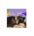 おとぼけりんご犬（個別スタンプ：6）