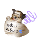 よっしーのわんちゃんたち（個別スタンプ：2）