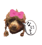 よっしーのわんちゃんたち（個別スタンプ：4）