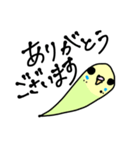 ゆるもちインコ（個別スタンプ：2）