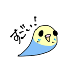 ゆるもちインコ（個別スタンプ：7）