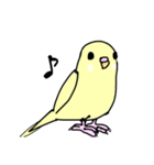 ゆるもちインコ（個別スタンプ：12）