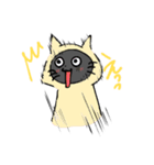 てるてるにゃんこ（個別スタンプ：2）