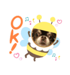村中犬3（個別スタンプ：6）