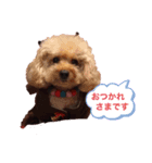 ゆりおはな（個別スタンプ：4）