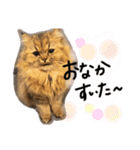 桃＊1（個別スタンプ：8）
