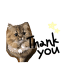 桃＊1（個別スタンプ：10）