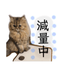 桃＊1（個別スタンプ：12）