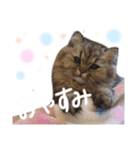 桃＊1（個別スタンプ：14）