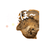 桃＊1（個別スタンプ：15）