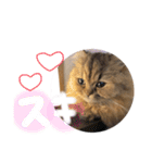 桃＊1（個別スタンプ：16）