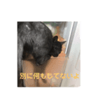 黒猫くぅちゃんの日常スタンプ（個別スタンプ：4）