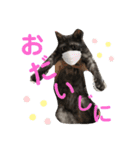 黒猫くぅちゃんの日常スタンプ（個別スタンプ：5）