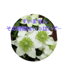 美容師さん向け（個別スタンプ：23）