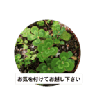 美容師さん向け（個別スタンプ：24）
