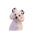 もあちゅわん（個別スタンプ：2）