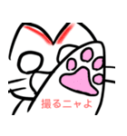 赤線猫（個別スタンプ：11）