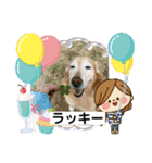 ゴールデンさくらの日々❸（個別スタンプ：10）