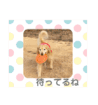 ゴールデンさくらの日々❸（個別スタンプ：25）
