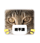 黒子の毎日（個別スタンプ：14）