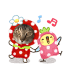 黒子の毎日（個別スタンプ：32）