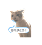 るるスタンプ ver.2（個別スタンプ：4）
