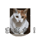 るるスタンプ ver.2（個別スタンプ：12）