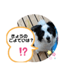 ケロレオバズロク（個別スタンプ：5）