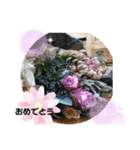 ケロレオバズロク（個別スタンプ：14）